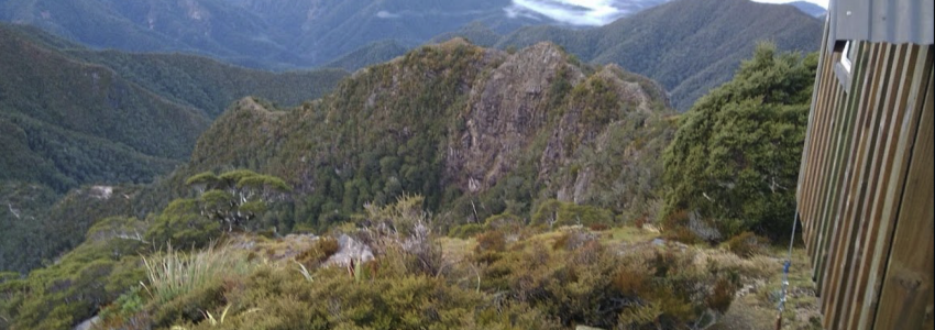 Remote Hut West Coast 1