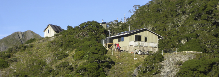 Remote Hut West Coast 7